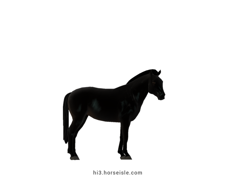 Canadian Rustic Pony Sooty Linebacked Ebony Black Coat